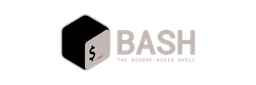 Bash